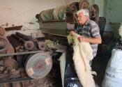 Mile Orelj iz Žitišta jedan od poslednjih vunovlačara u Vojvodini