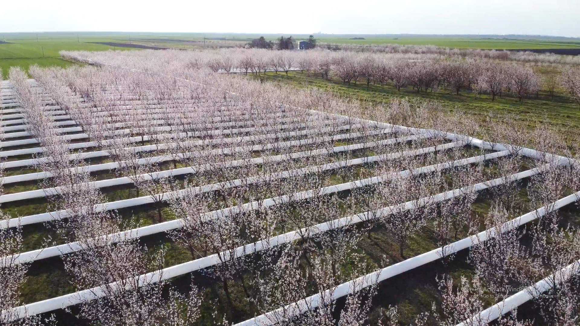 Nesvakidašnji sistem za borbu protiv mraza u Međi