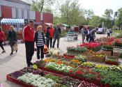 Foto reportaža: Prolećni festival cveća u Žitištu