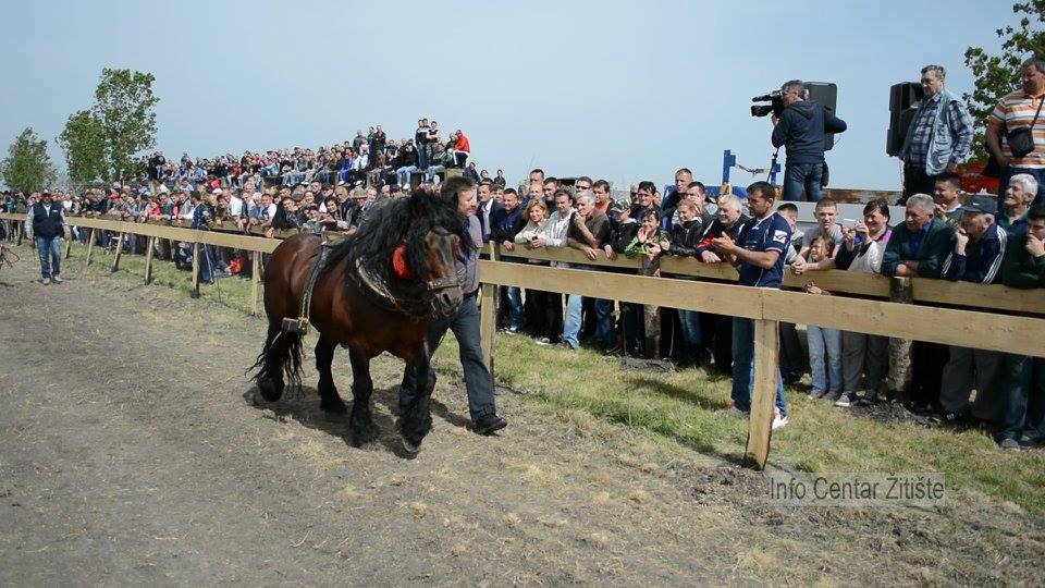 DRUGA MEĐUNARODNA ŠTRAPARIJADA U ČESTEREGU