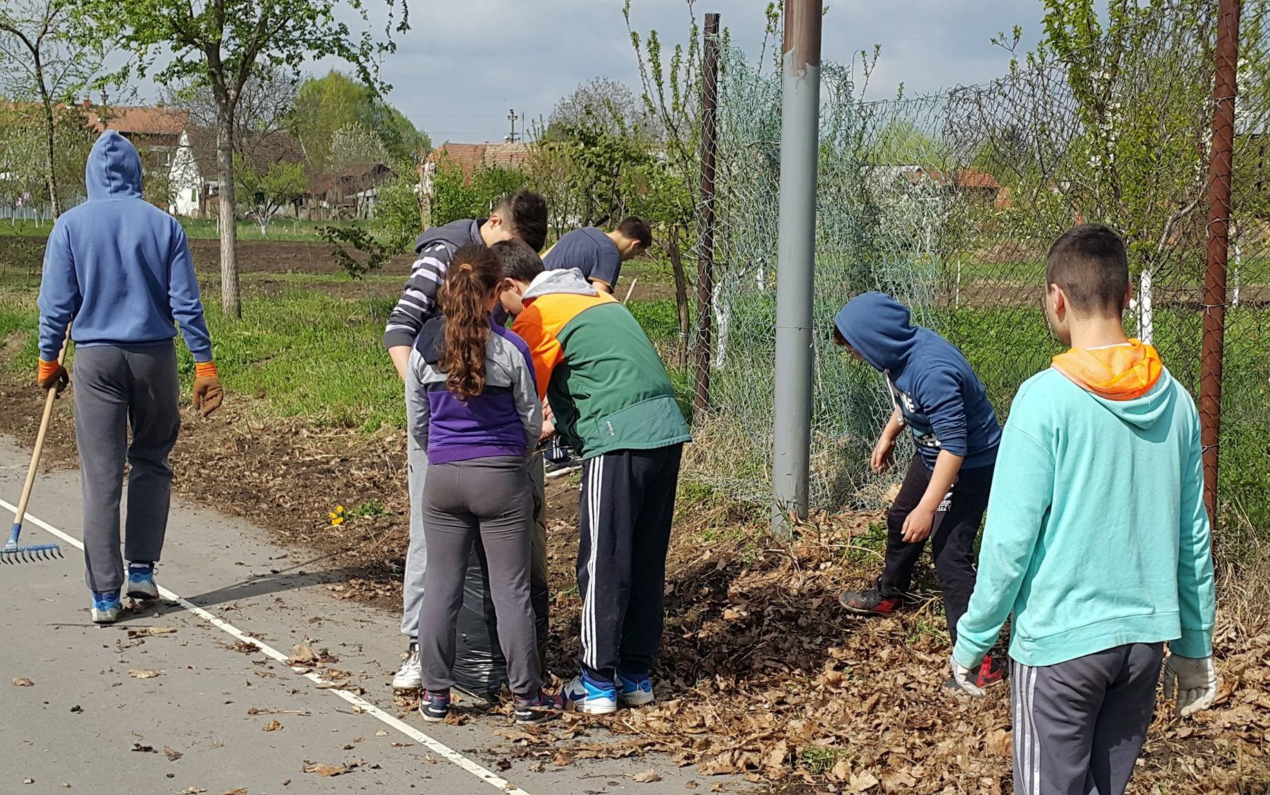 RADNA AKCIJA U BANATSKOM DVORU