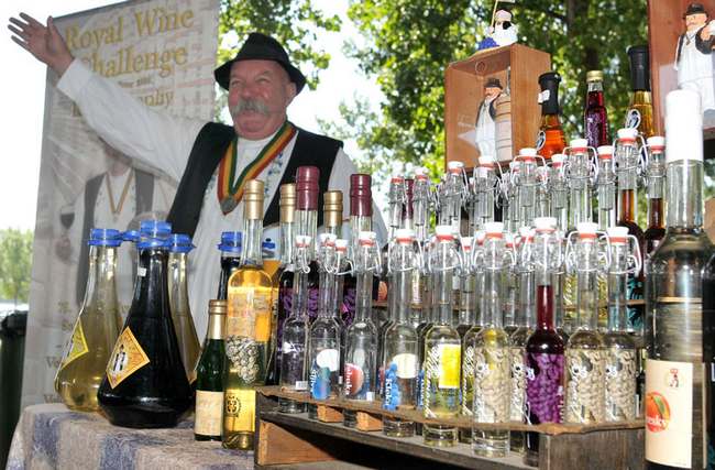 PRVI FESTIVAL RAKIJE U ŽITIŠTU