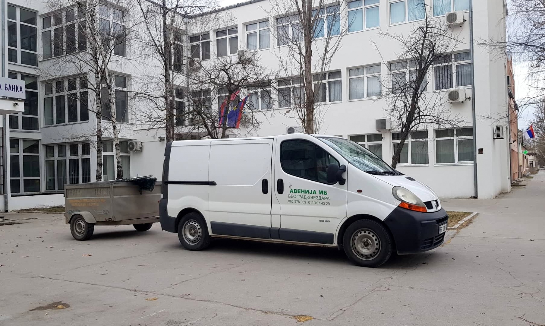 Žitište – Akcija hvatanja pasa lutalica