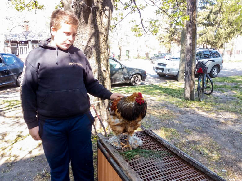 Druga berza živine i sitnih životinja održana u Banatskom Karađorđevu