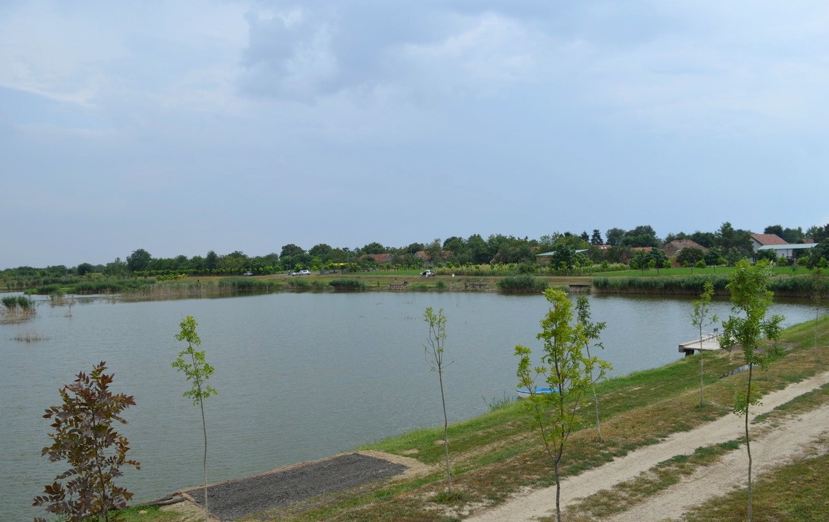 Jezero Jamura – prava zelena oaza u Banatskom Karađorđevu