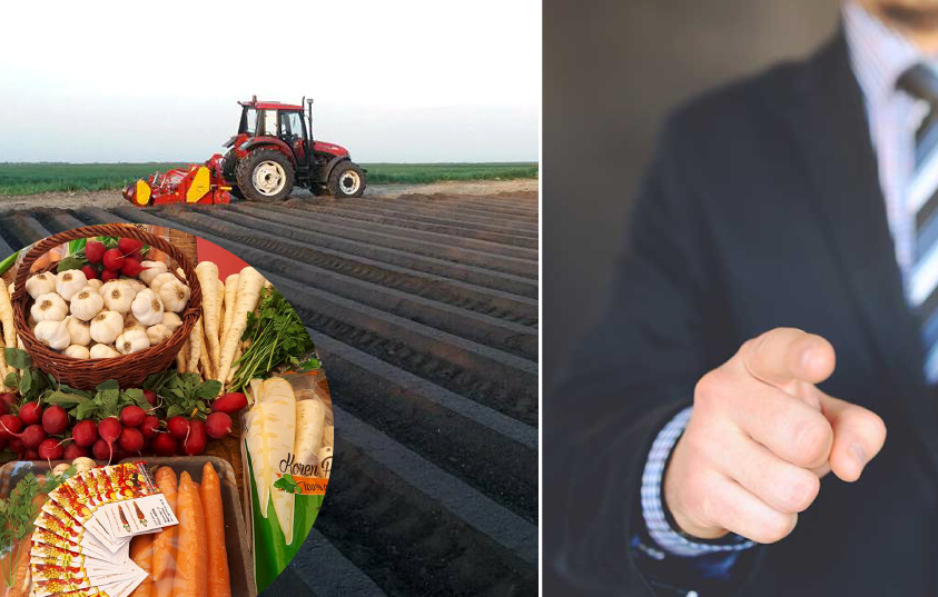 Oglas za posao – Radite u Carrots doo Novi Itebej