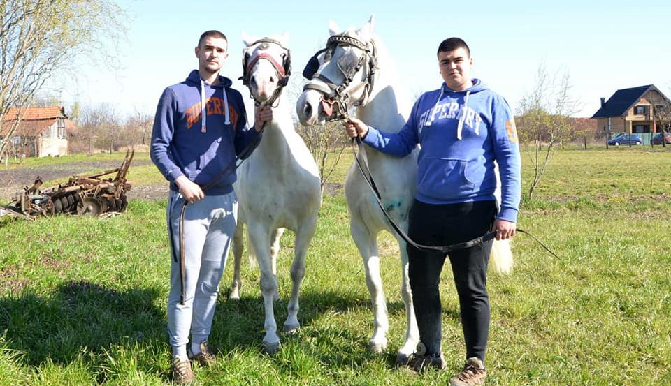 Braća Žarković od malena gaje ljubav prema konjima