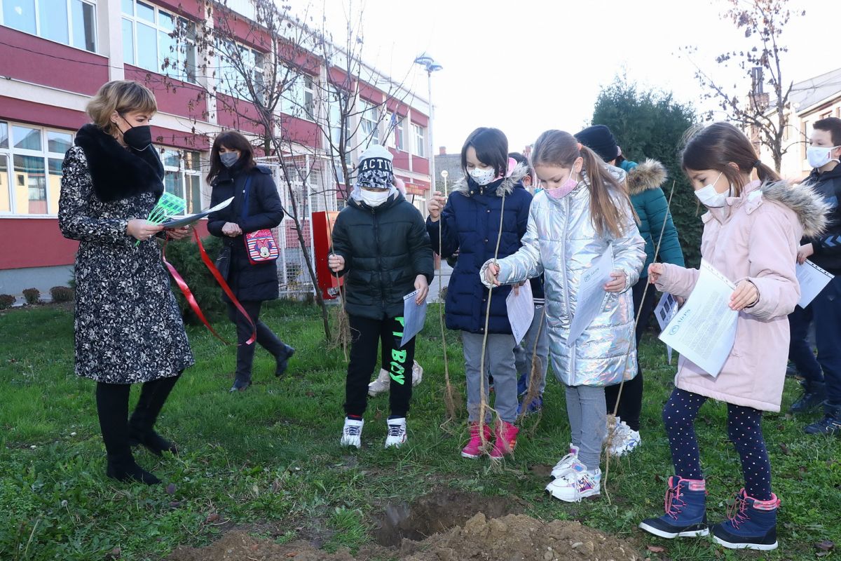 Podela besplatnih sadnica građanima opštine Žitište