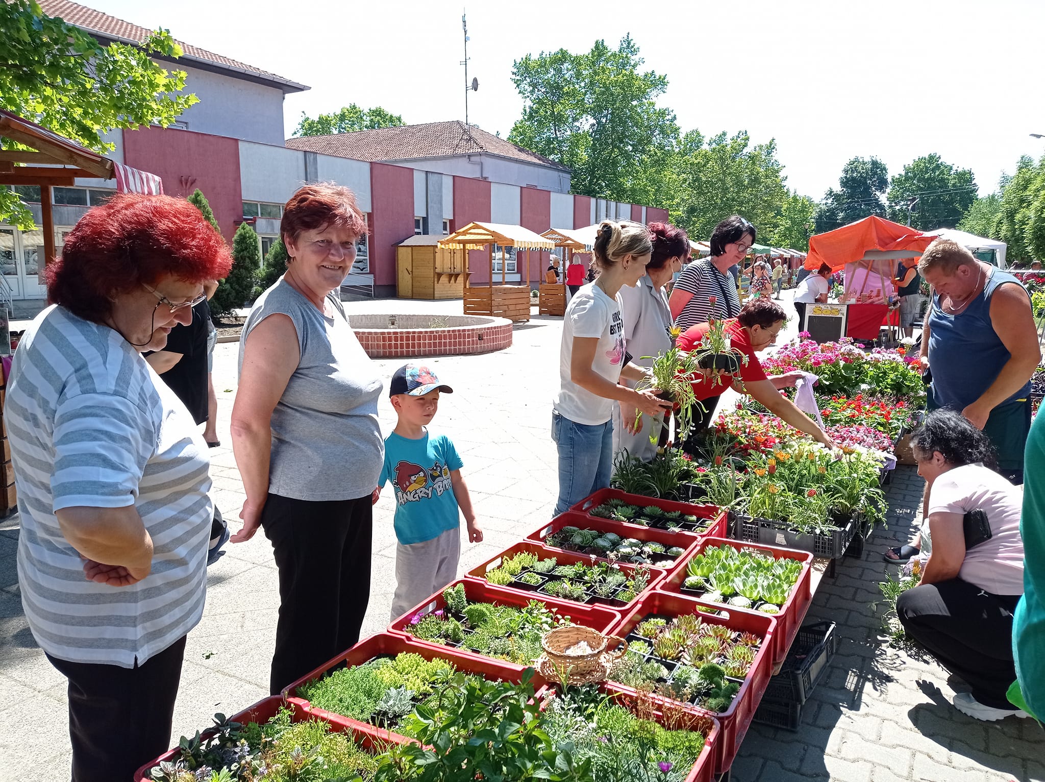 Jesenji festival cveća u Žitištu