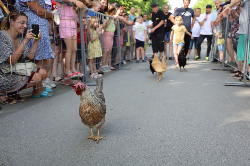 (FOTO/VIDEO) "PILE FEST 2023"- Nataša Bekvalac fenomenalnim koncertom zatvorila manifestaciju 9 pile fest 2023-8