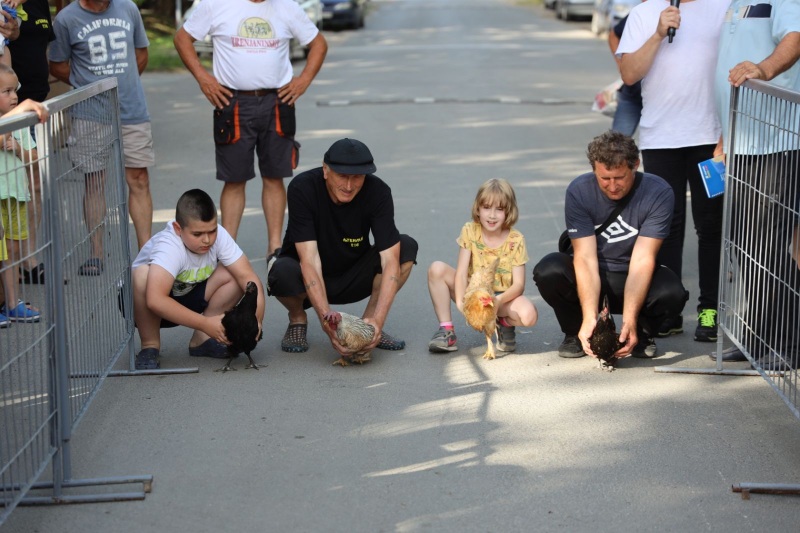 (FOTO/VIDEO) "PILE FEST 2023"- Nataša Bekvalac fenomenalnim koncertom zatvorila manifestaciju 10 pile fest 2023 9
