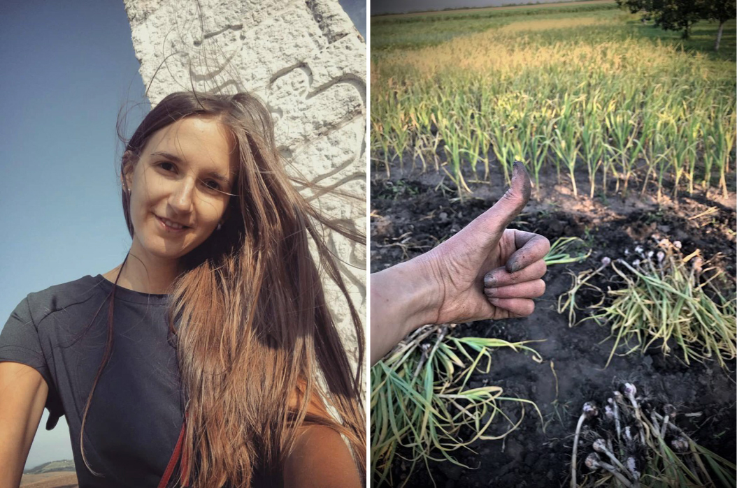 Tatjana Mandić iz Banatskog Dvora “Nastavili smo bakinu tradiciju gajenja belog luka“