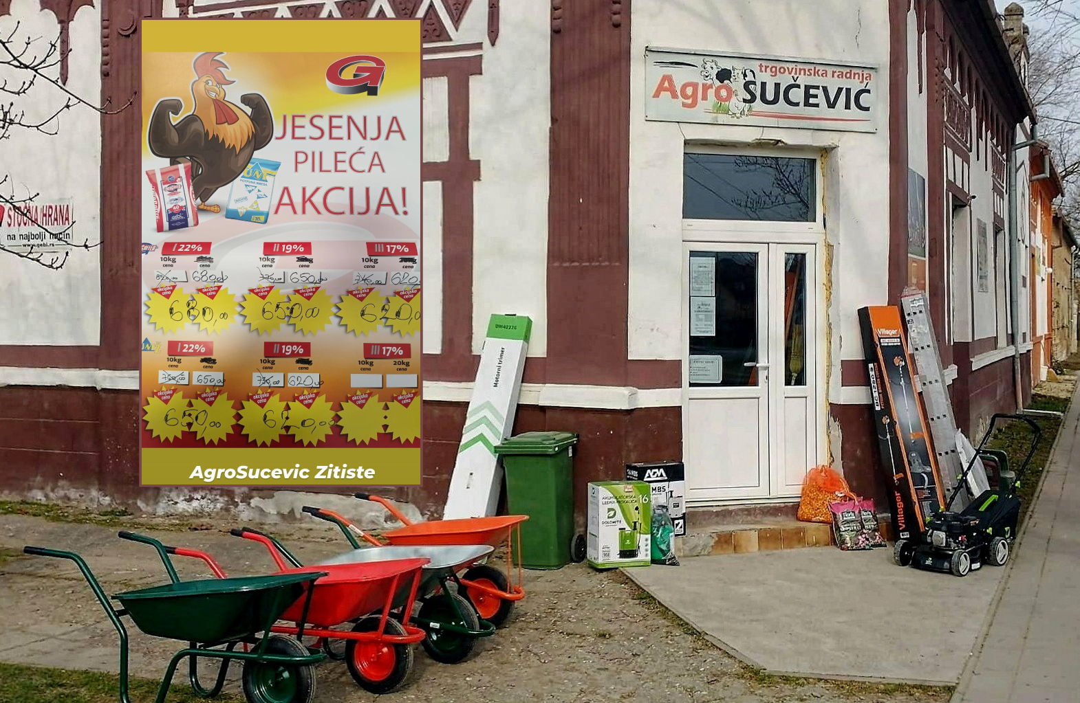 AgroSučević Žitište: Akcija za pileći i program za kućne ljubimce