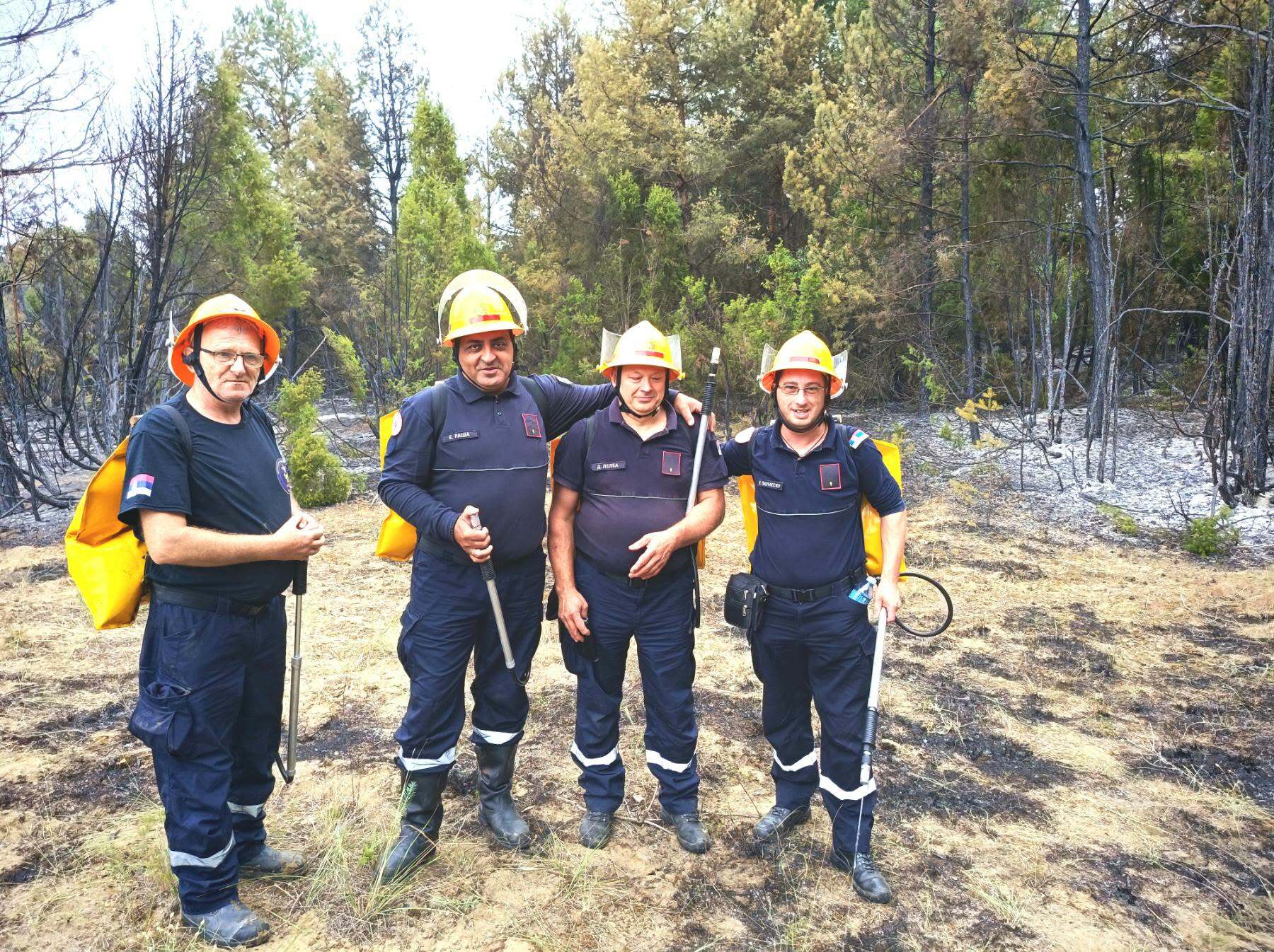 Vatrogasci iz Torka gasili požar u Deliblatskoj peščari