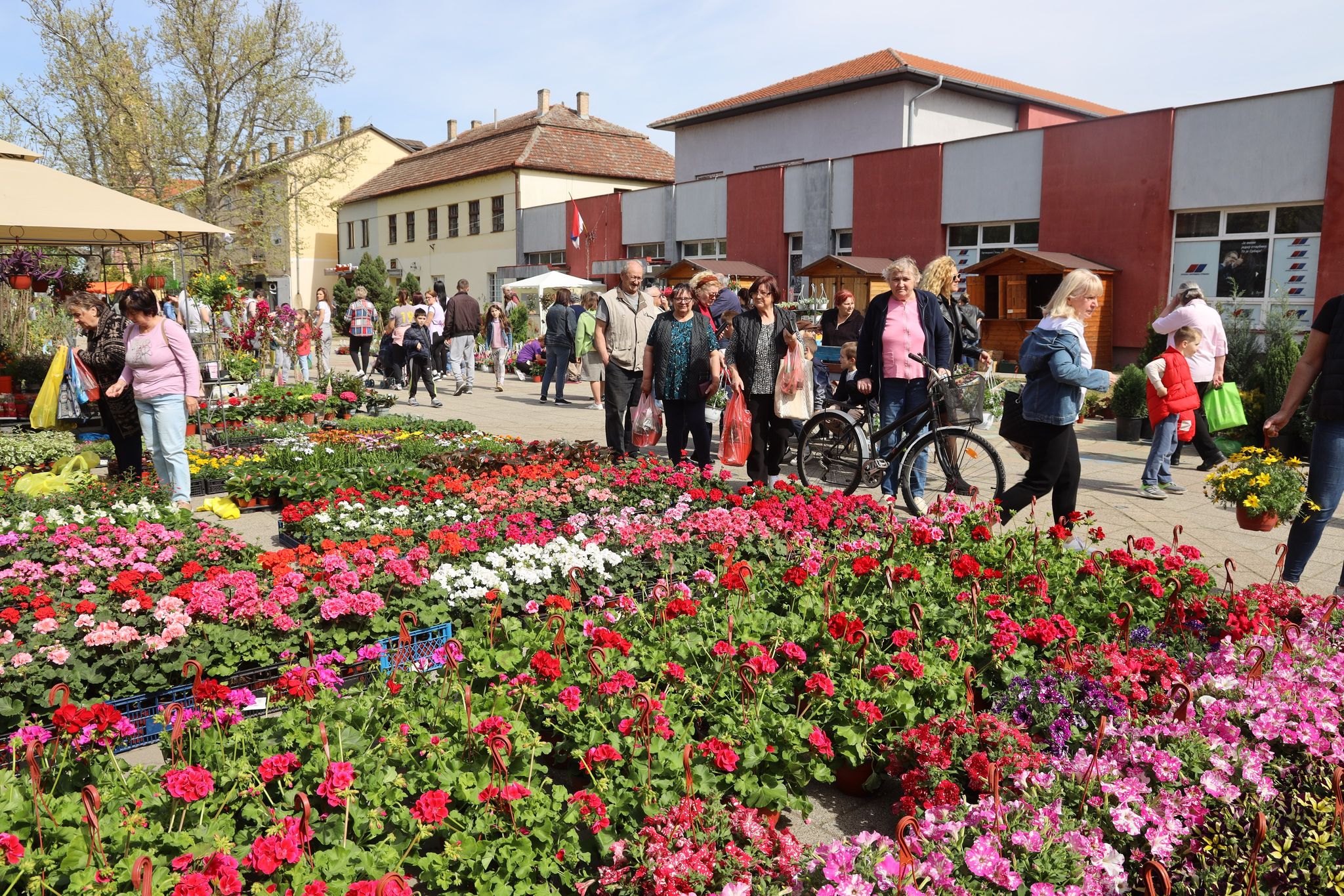 Tradicionalna jesenja cvetna pijaca u Žitištu
