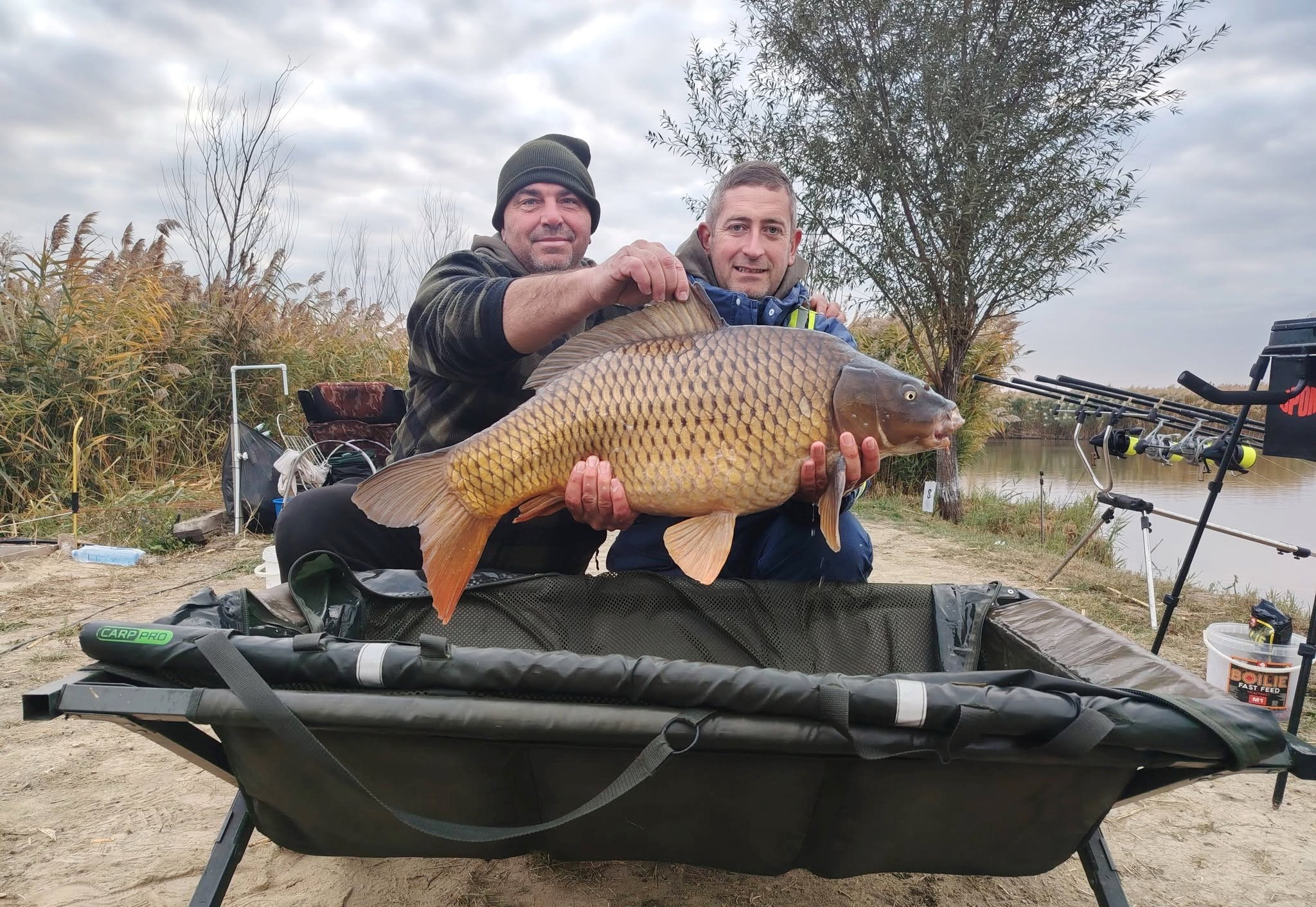 Šaranski spektakl na Jamuri – upecano 948 kg ribe